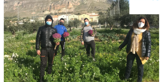Questa immagine mostra i volontari di Azione X OdV di Trapani che raccolgono i frutti del progetto orto sociale