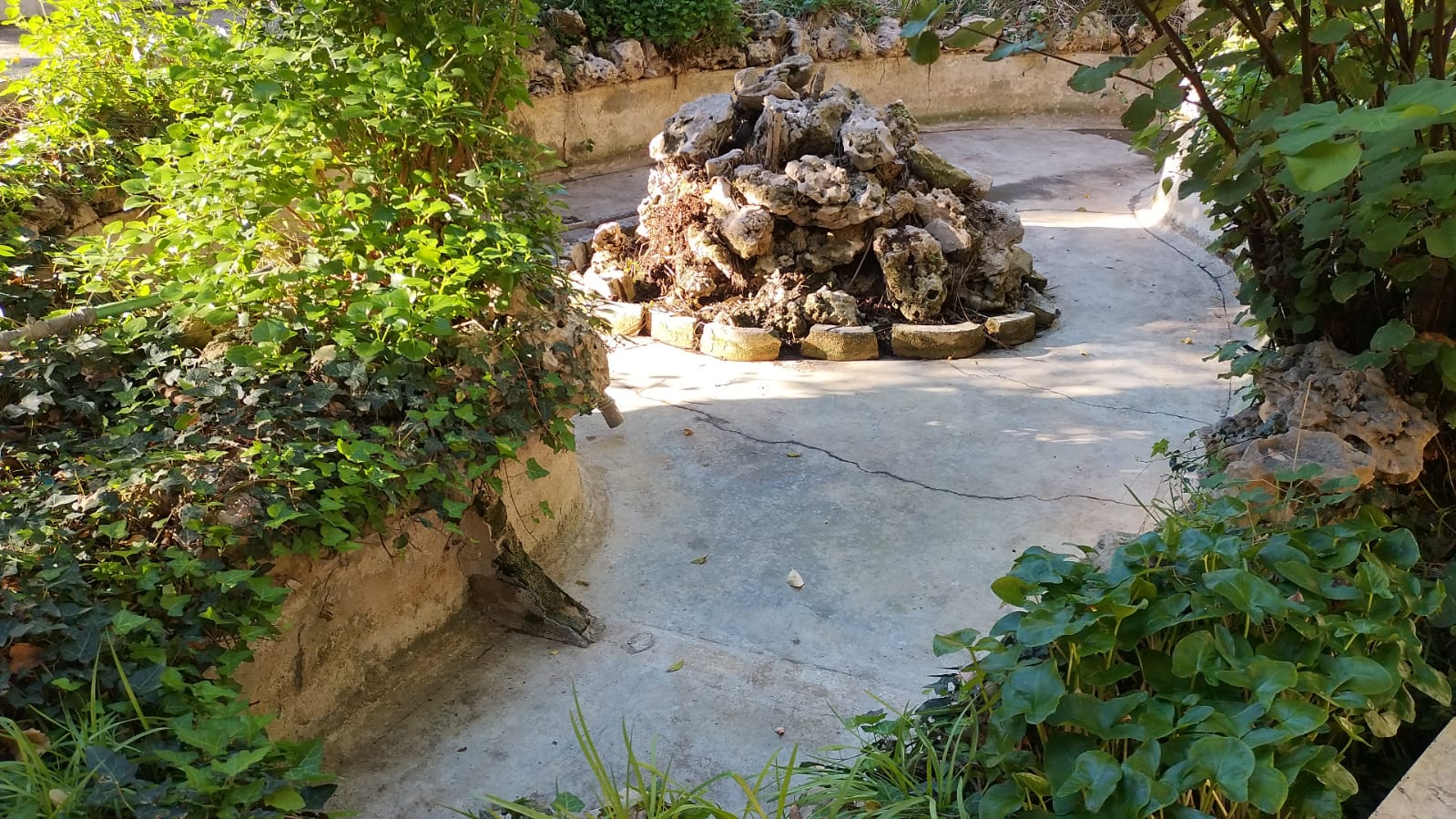 Azione X Organizzazione di volontariato e i suoi volontari sistemano il giardino botanico del Serraino Vulpitta e il girìardino riprende l'antico splendore
