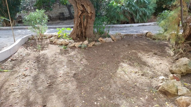 Azione X Organizzazione di volontariato e i suoi volontari sistemano il giardino botanico del Serraino Vulpitta e le aiuole ripulite