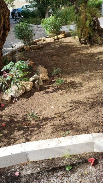 Azione X Organizzazione di volontariato e i suoi volontari sistemano il giardino botanico del Serraino Vulpitta e le aiuole