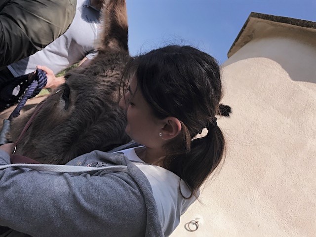Gli operatori di Azione X Organizzazione di volontariato di Trapani all'interno del progetto La fattoria sociale abbracciano gli asini insieme con i partecipanti