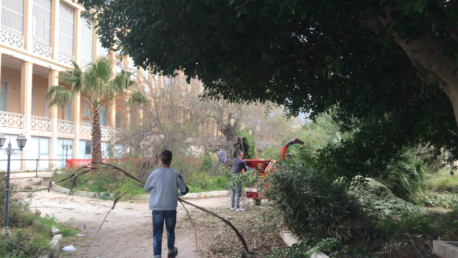 I volontari di Azione X OdV di Trapani ripuliscono il Serraino Vulpitta per il progetto La rinascita del giardino botanico